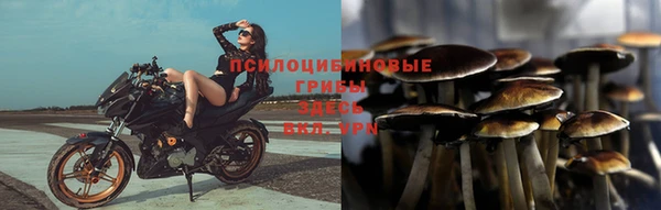 ГАЛЛЮЦИНОГЕННЫЕ ГРИБЫ Медногорск