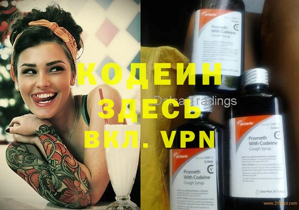 прущие крисы Медвежьегорск