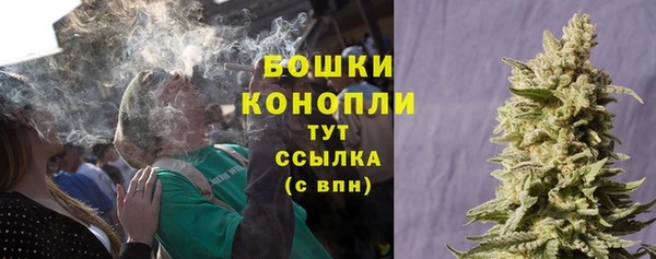 прущие крисы Медвежьегорск
