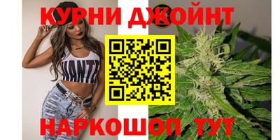 прущие грибы Малоярославец