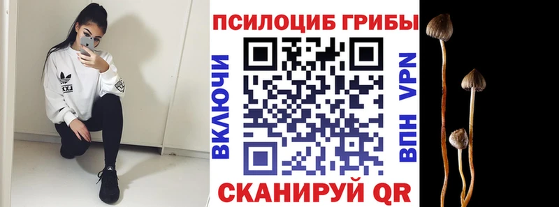 мориарти формула Северск Галлюциногенные грибы Cubensis