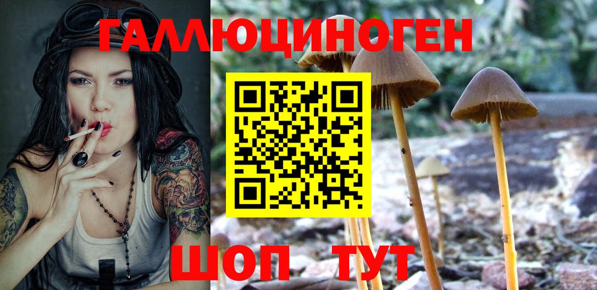 Псилоцибиновые грибы мухоморы  Галлюциногенные грибы Cubensis  Северск 