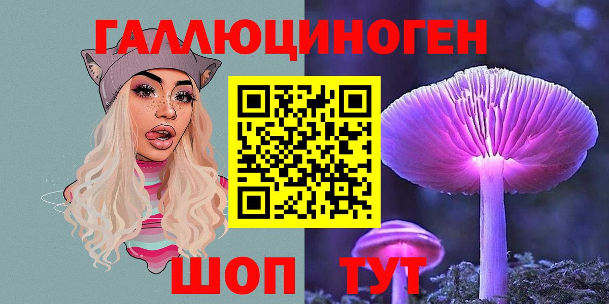 Северск  Псилоцибиновые грибы мухоморы  Вход с VPN 